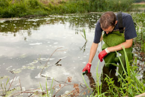 environmental-scientist